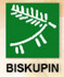 Biskupin